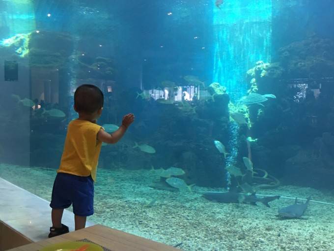 三亚带孩子精品旅游小团,三亚亲子岛旅游攻略