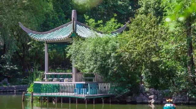 高温下的上海城市,上海40度以上高温