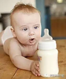 甭管虫子爬、小狗爬还是小熊爬,好歹您也爬一爬!爬行这一步绝对不容错过!