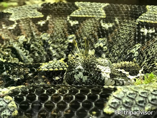 买魔杖、骑扫帚、喝黄油啤酒，去这些14个地方做巫师吧！