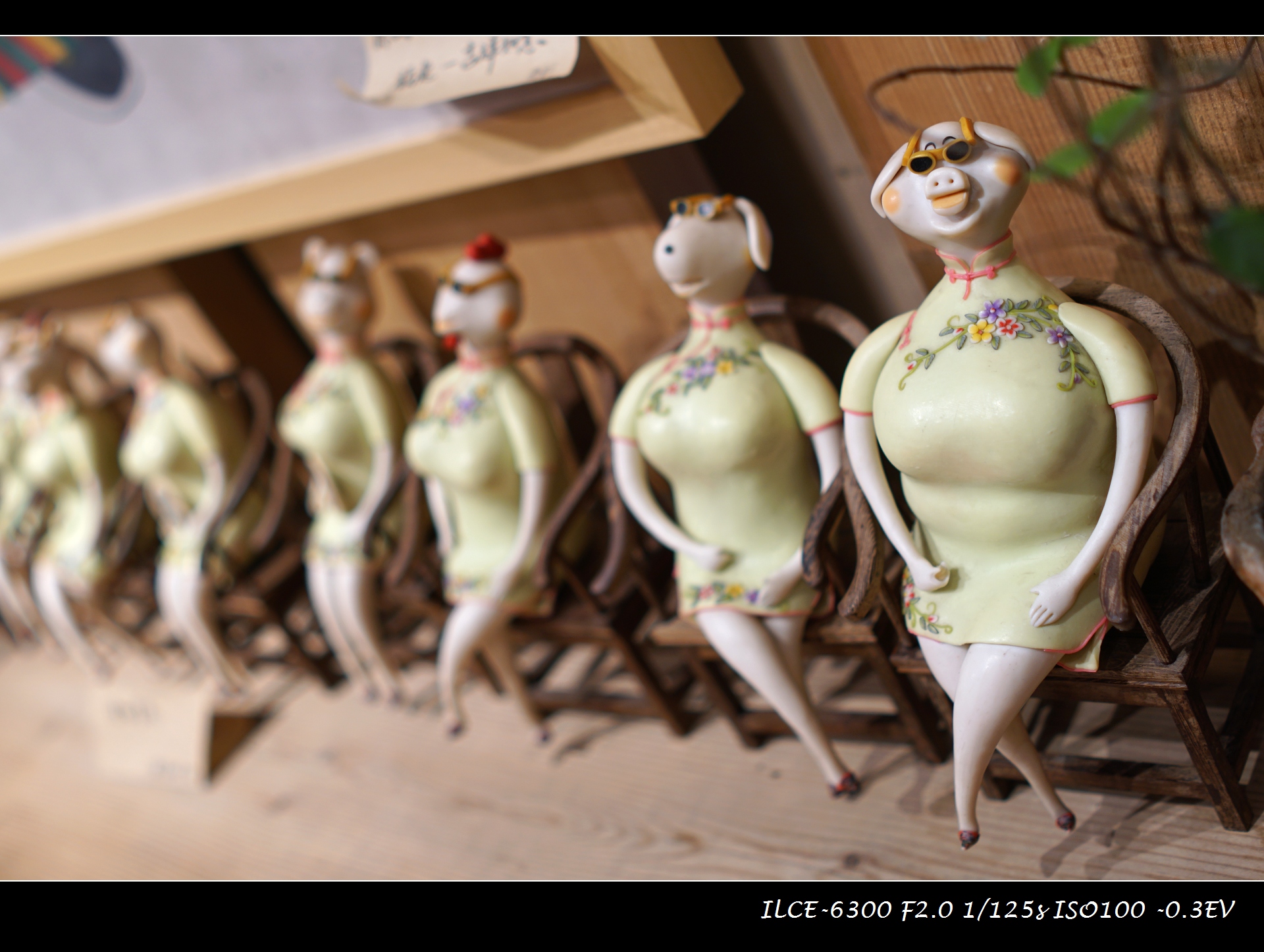 索尼微单a6000和a6300,索尼a6300微单摄影入门教程