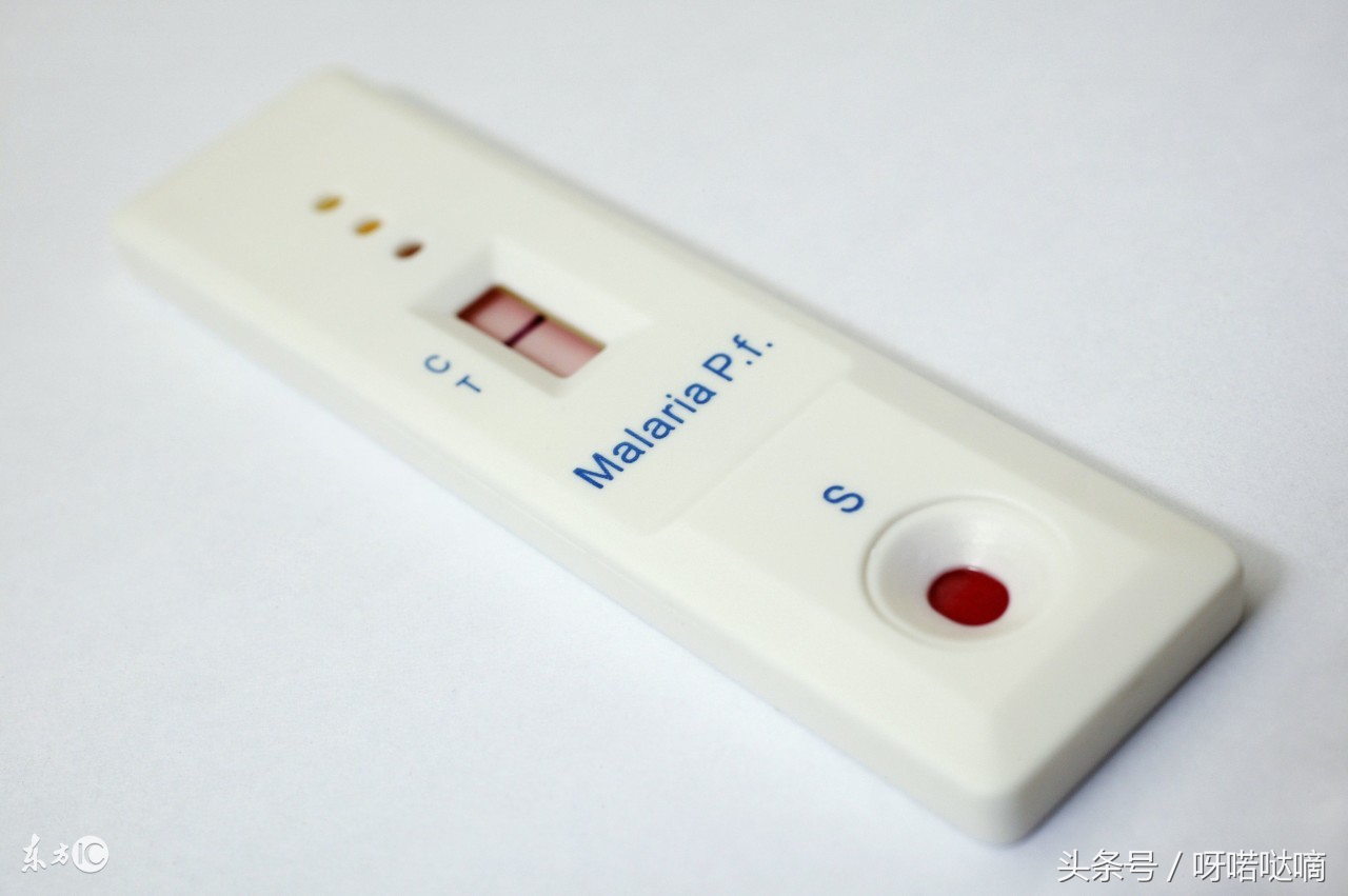 排卵期哪天中奖率高,受孕率最高是在排卵前还是排卵后