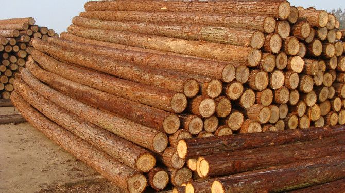 欧松板贴木纹纸效果,欧松板板材特性