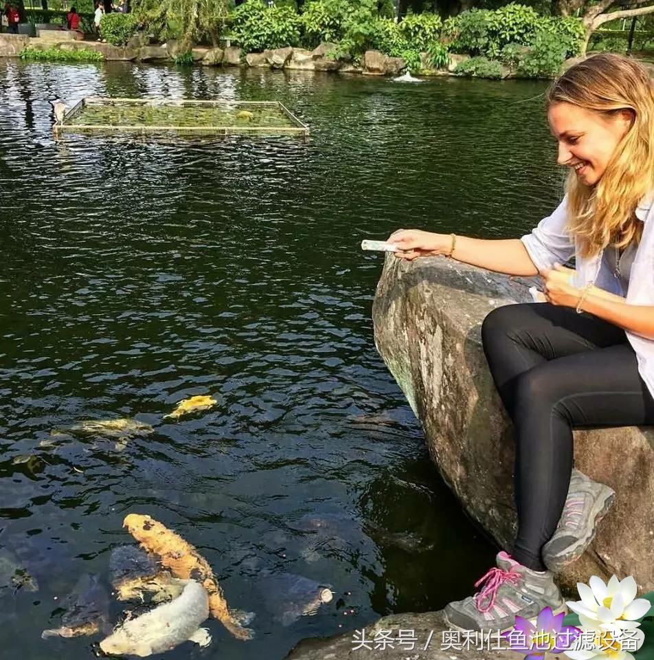 不会撩妹的锦鲤，不是一条好锦鲤！