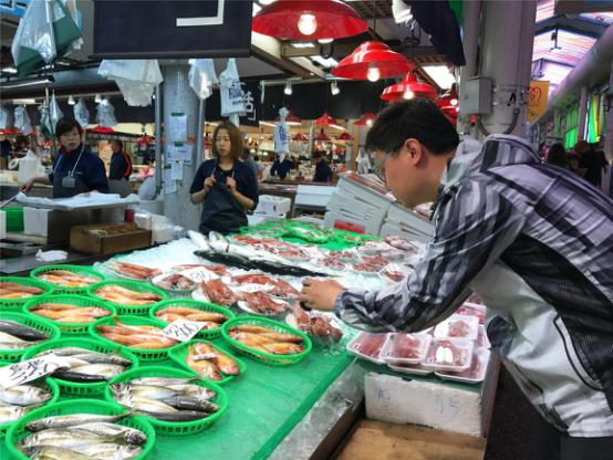 日本升龙道之旅攻略,日本升龙道旅游