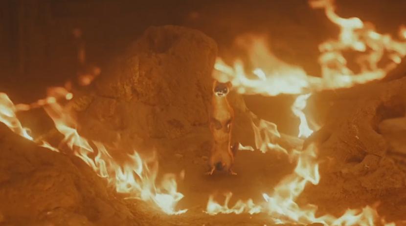 鬼吹灯之黄皮子坟为什么最恐怖,鬼吹灯之东北往事黄皮子