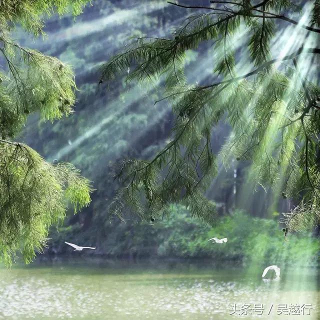 补水效果超级好的清爽水,超舒服的补水方法