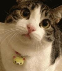 口腔溃疡自述反复,舌头复发性口腔溃疡最快解决法