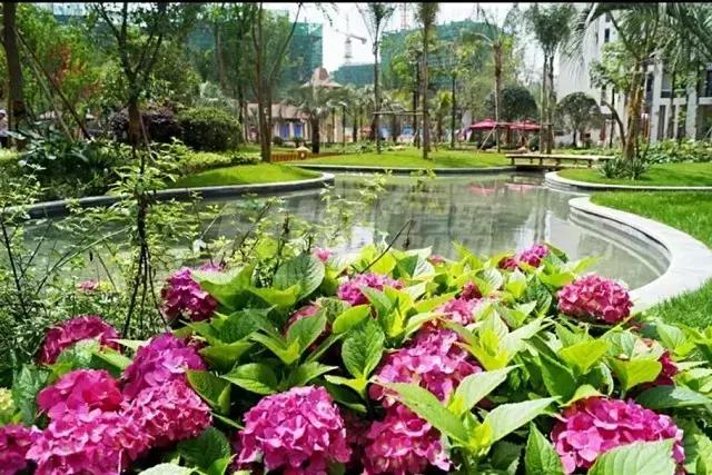 豪宅成都麓湖看房,成都傲城的二手房