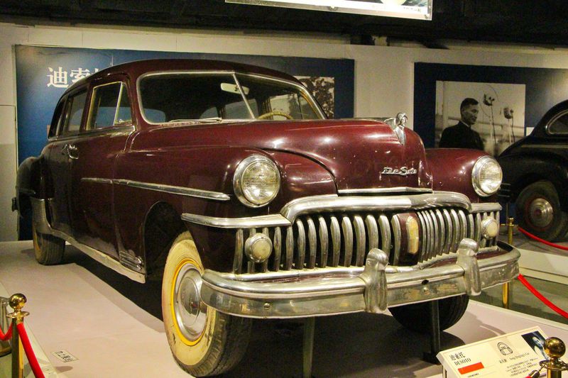 青山绿水间自由的飞翔,青山绿水放飞心情拥抱大自然