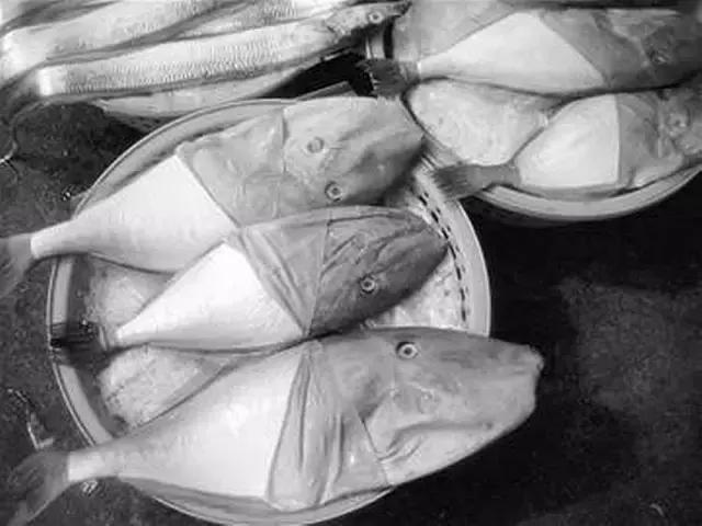 一啸渔乐,常见平尾海鱼有哪些