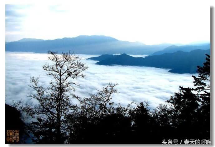 台湾阿里山仙境美如画,台湾省阿里山风景
