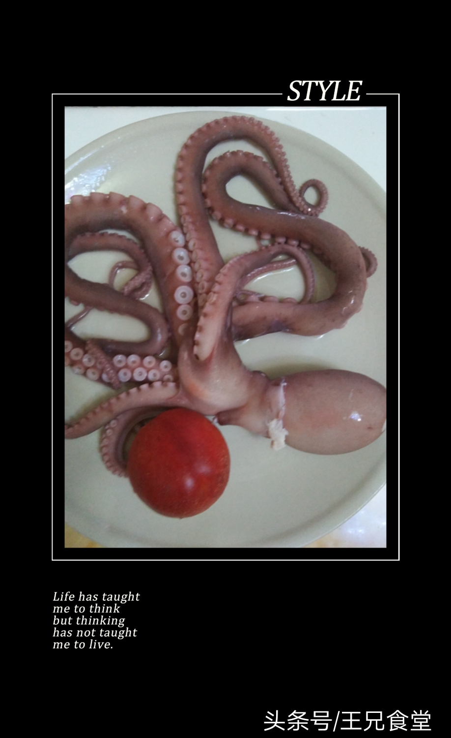 爱吃八爪鱼的一定要收藏,吃八爪鱼的七种方法