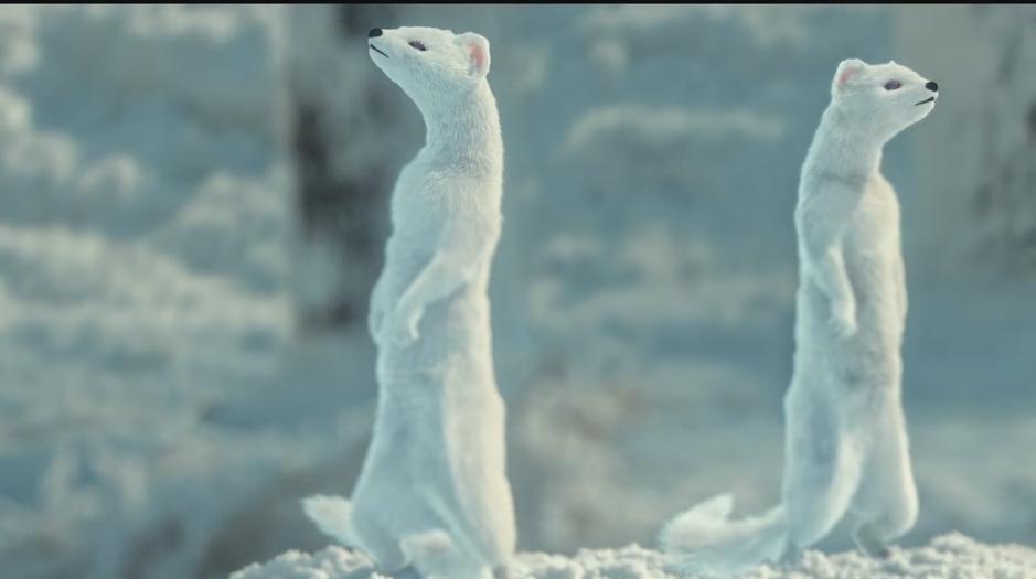 鬼吹灯之黄皮子坟为什么最恐怖,鬼吹灯之东北往事黄皮子