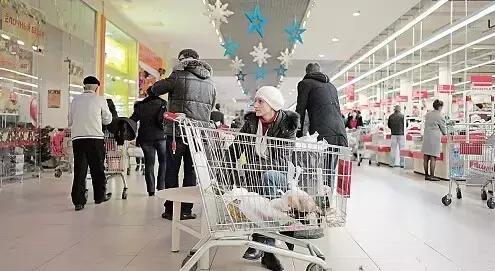 代购亏本生意怎么做得好,代购失业后何去何从