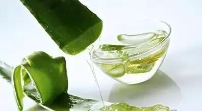 如何在家自制芦荟面膜,生活小妙招用芦荟胶做面膜