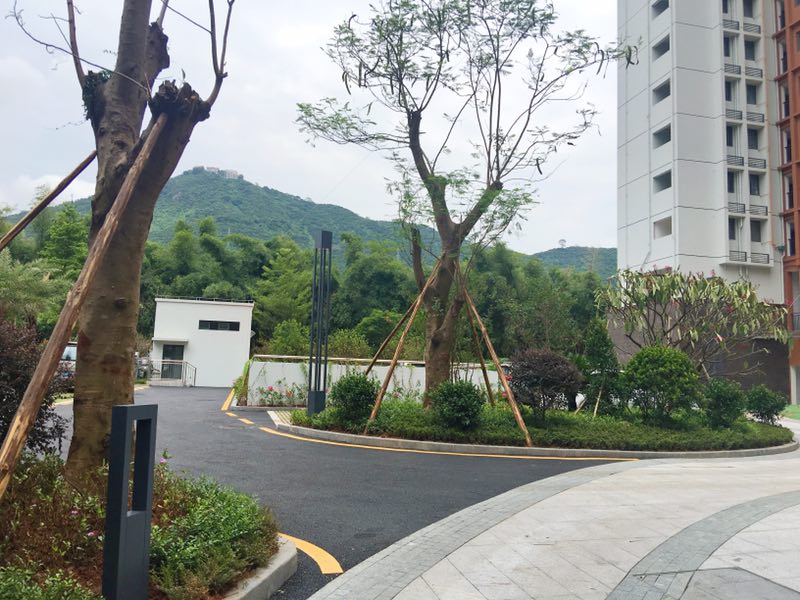 上周,深圳买房的人都去了观音山、凤凰山旁边的华苑