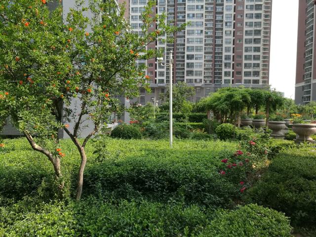 潍坊市圣基福安家园电梯,潍坊福安家园圣基铭座六楼价格