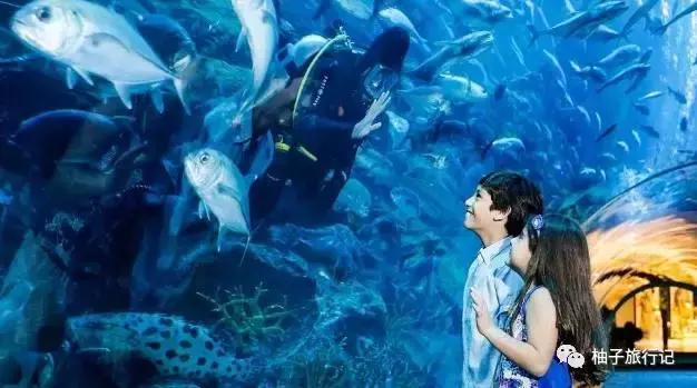 怎么讲解迪拜旅游线路,迪拜旅游讲解视频