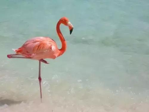 腰围超过多少会造成疾病,腰围超标会引起什么疾病