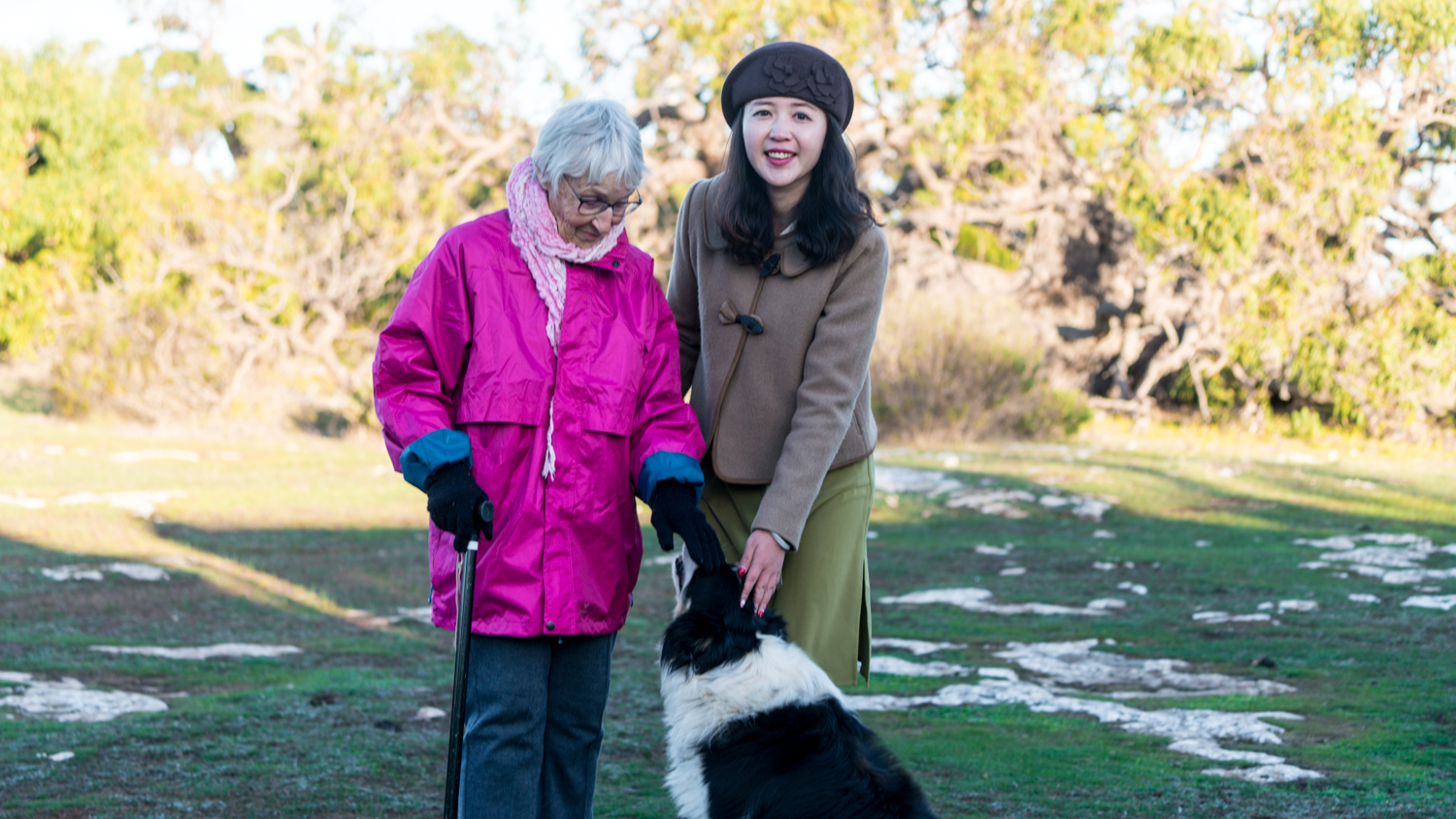 澳洲生蚝哪里最好,全球顶级生蚝多少钱一个