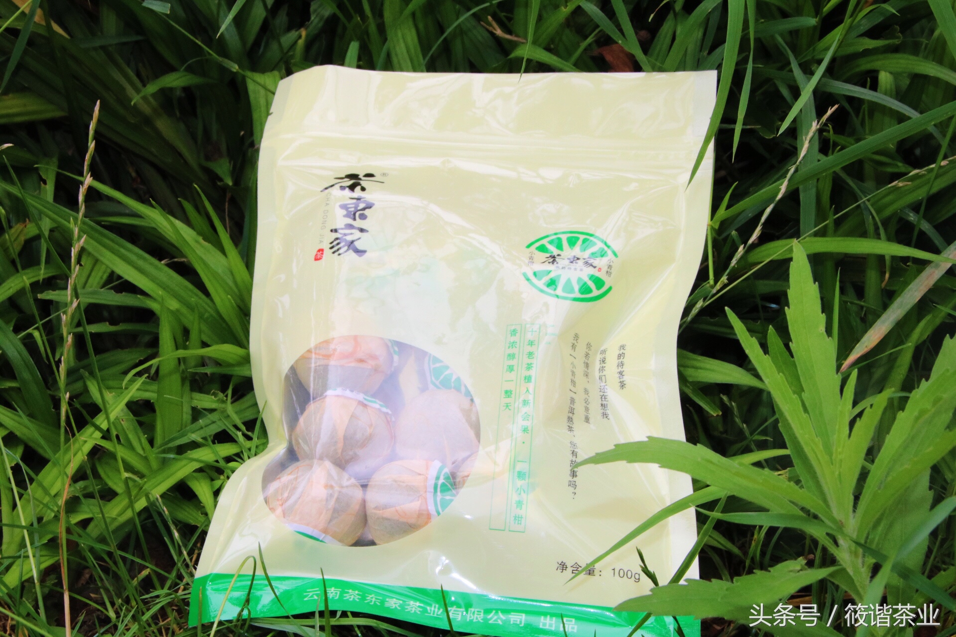 云南有哪些靠谱的普洱茶商家,云南正宗普洱茶商城