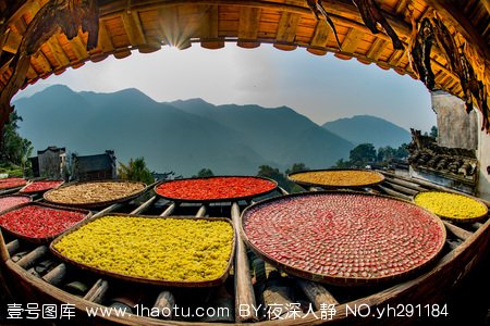 学摄影要懂p图吗,学摄影镜头选择