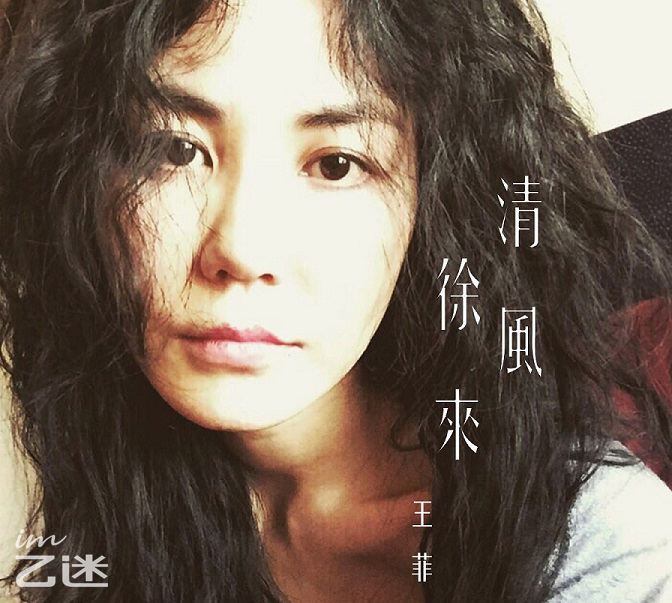 音质很好的挂式耳塞,耳挂式蓝牙耳塞