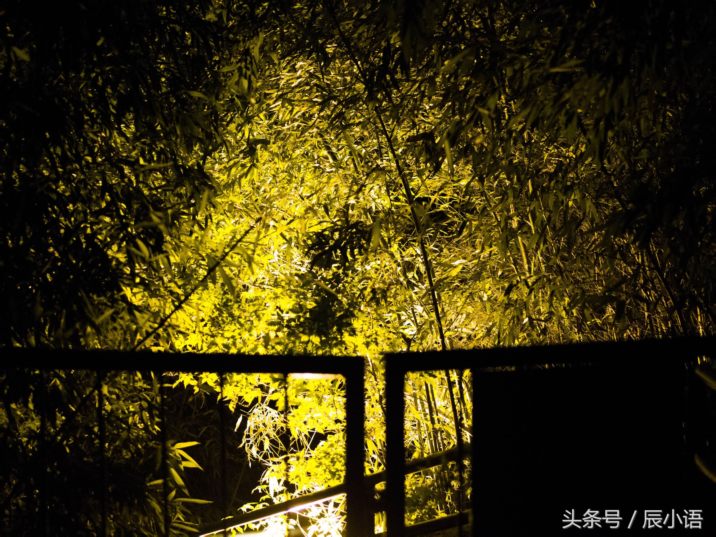 小蚁微单相当于什么相机,小蚁微单深度评测