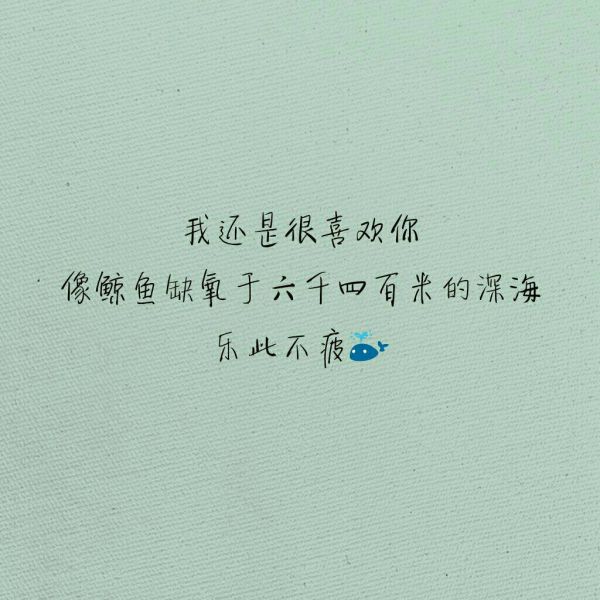 唯美背景文字图片,唯美文字图片背景图