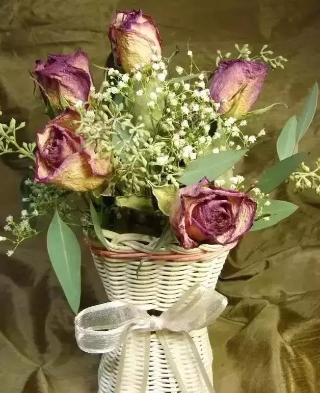 娈嬫灊璐ュ彾鎻掕姳,娈嬫灊璐ヨ姳