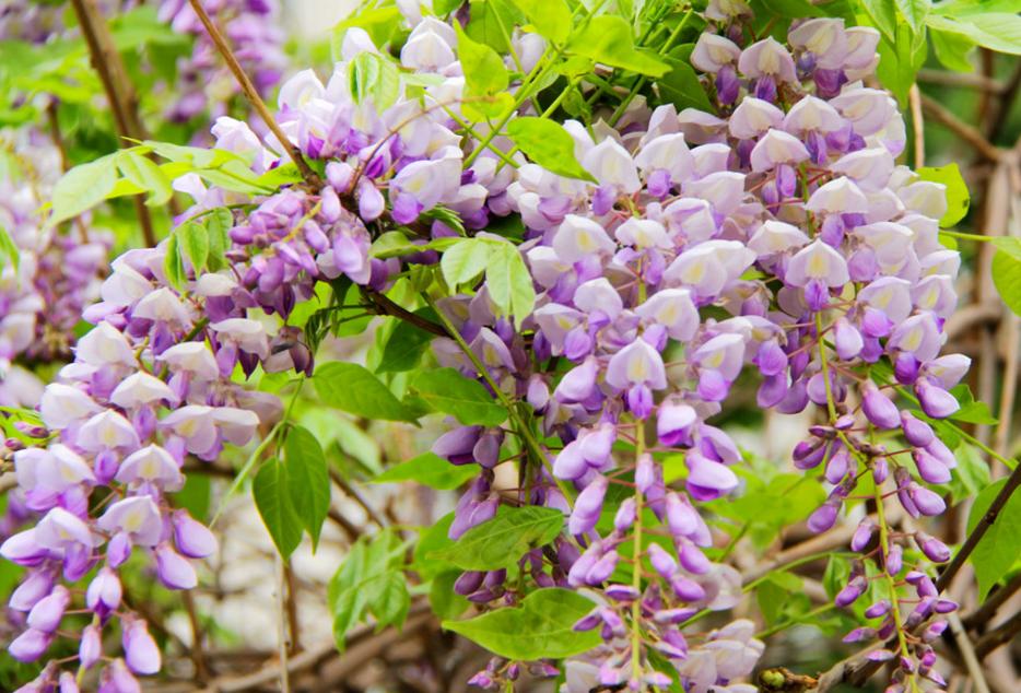 有一种岁月带给你的忧伤，因为你懂，所以，你泪流满面