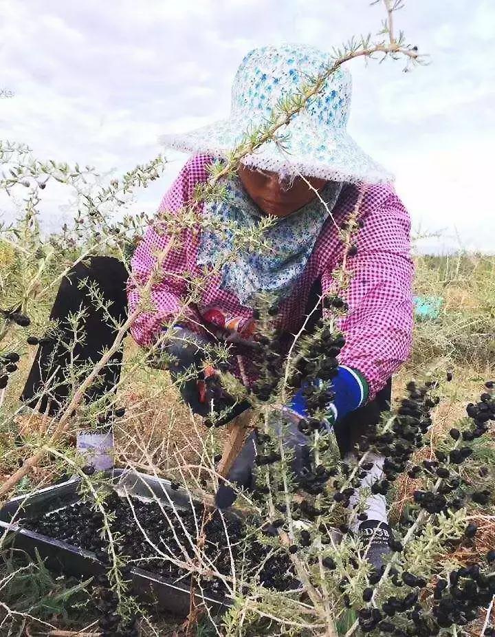 90后女生回到家乡创业,90后姑娘只身创业打拼