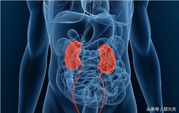 尿路感染应怎么预防,尿路感染是什么症状如何缓解