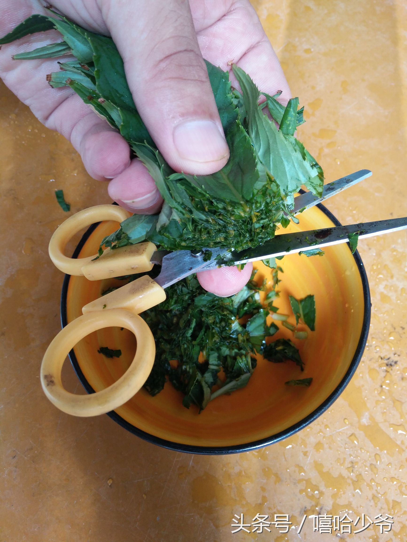 农村纯天然指甲草,神奇的指甲草有几种