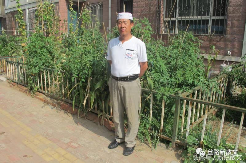 回族清真贴,回族的乜贴是什么意思