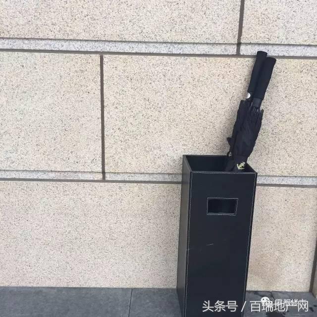 全球顶尖房企独揽合肥两湖一山，本周入市！