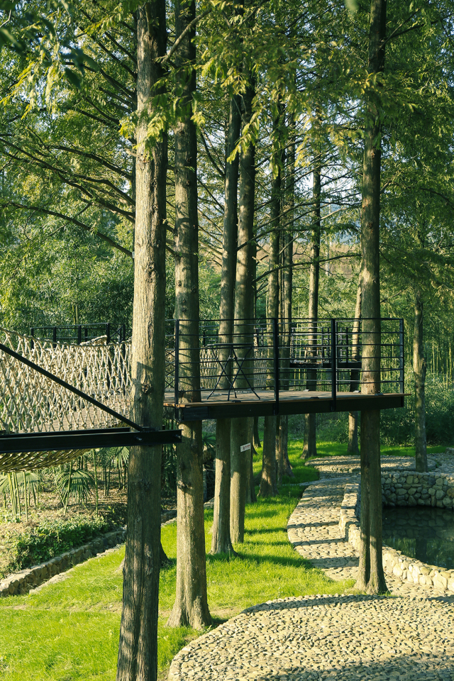 宜兴周边避暑一日游,宜兴开车避暑攻略