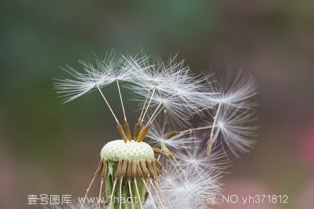 学摄影要懂p图吗,学摄影镜头选择