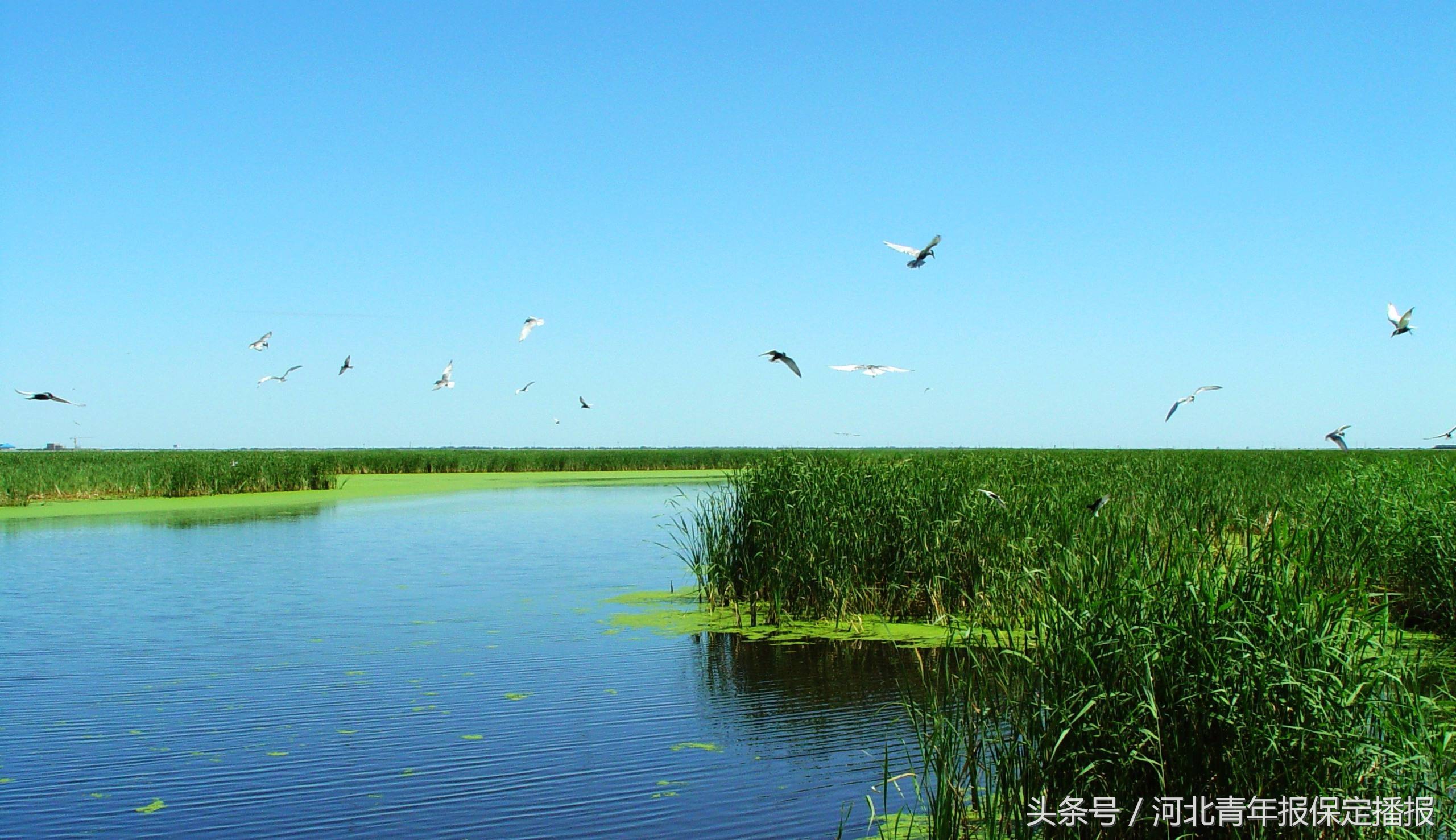 河北保定竞秀区全域封闭,重磅保定市最新规划