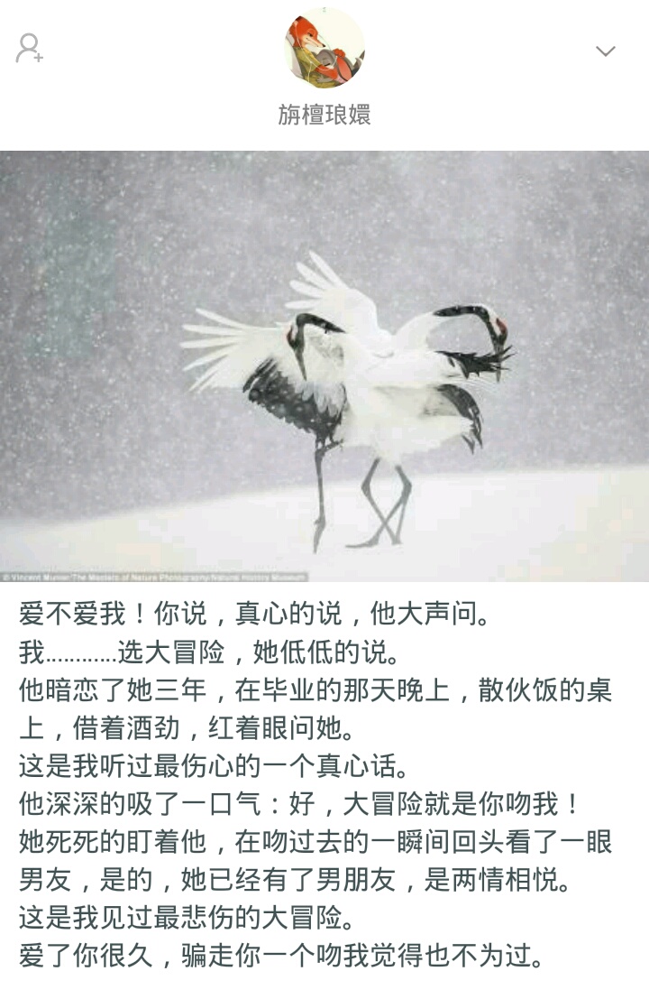 你见过真心话大冒险吗,你见过最狠的真心话大冒险