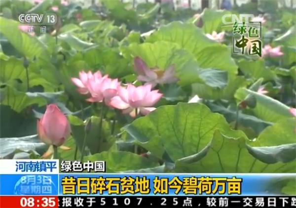 镇平万亩荷塘,镇平万亩荷塘博览园