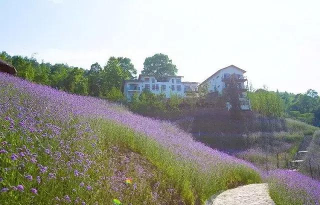 川渝黔避暑农家乐排行榜,重庆避暑农家乐包吃住