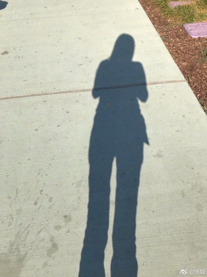 张庭与林瑞阳婚姻内幕,张庭老公林瑞阳个人资料