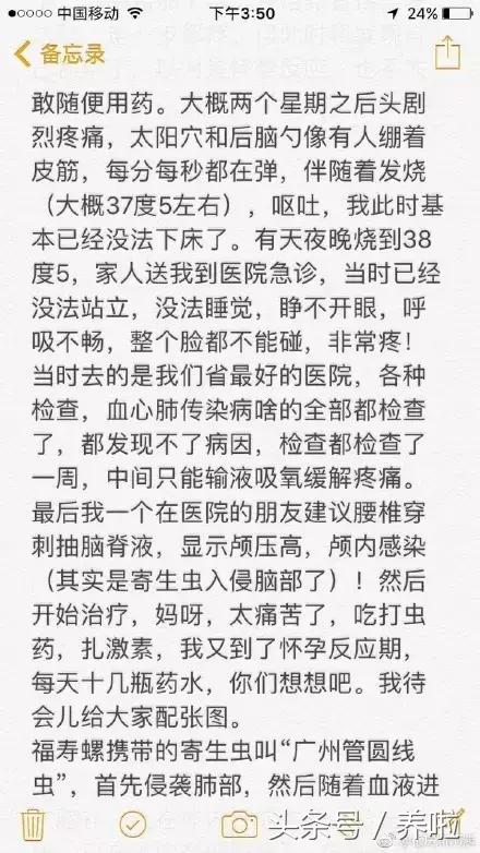 女子吃了福寿螺,吃田螺误吃福寿螺