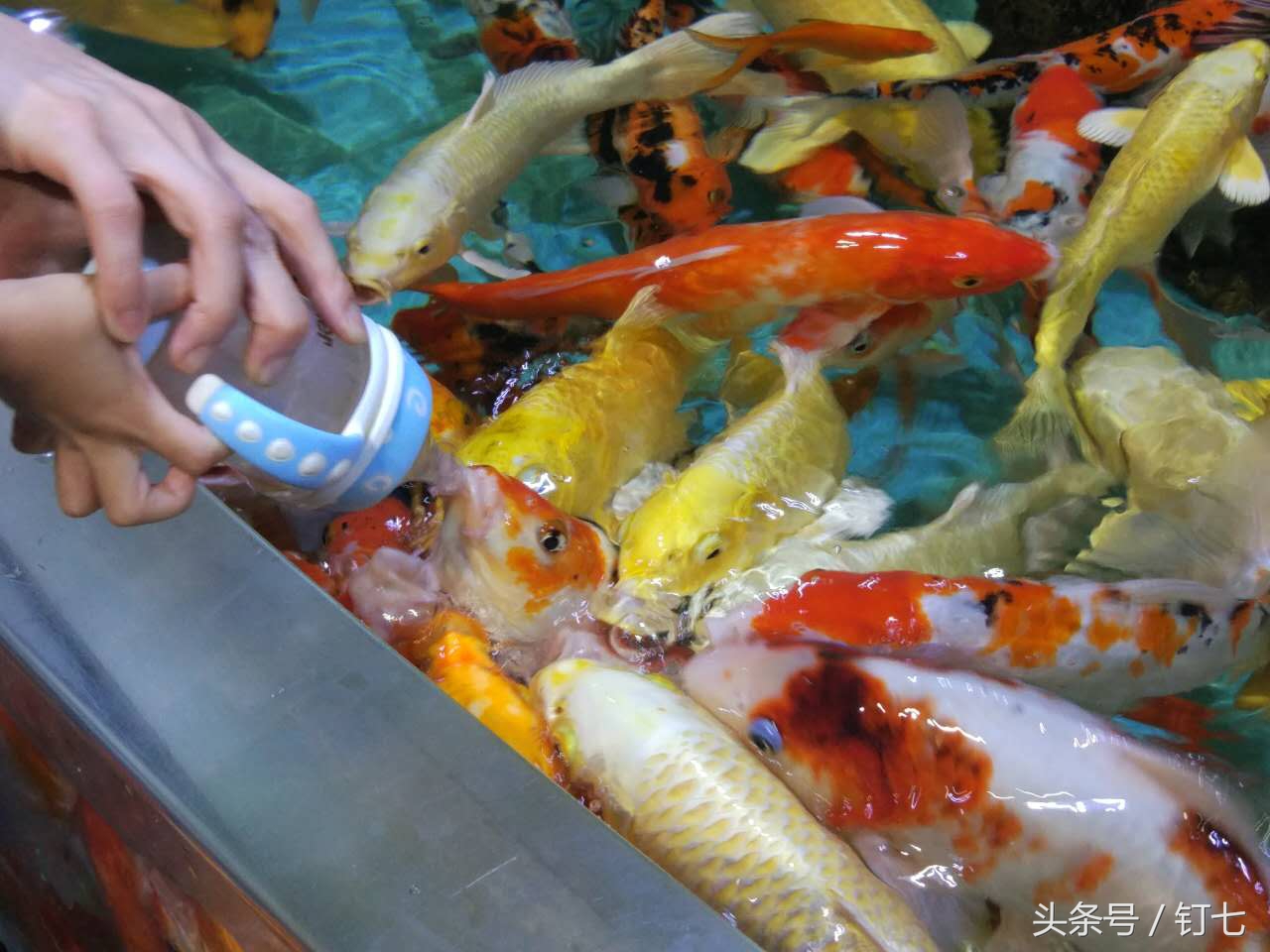 夏天与海绝配,夏天与海洋更配的图片