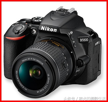 尼康入门机和中端机的区别,尼康入门单反哪款最好