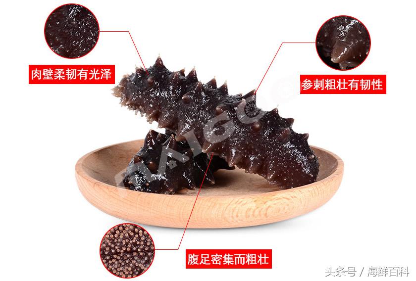 海参的功效与作用海参一天吃几个,海参的功效与作用干海参的吃法