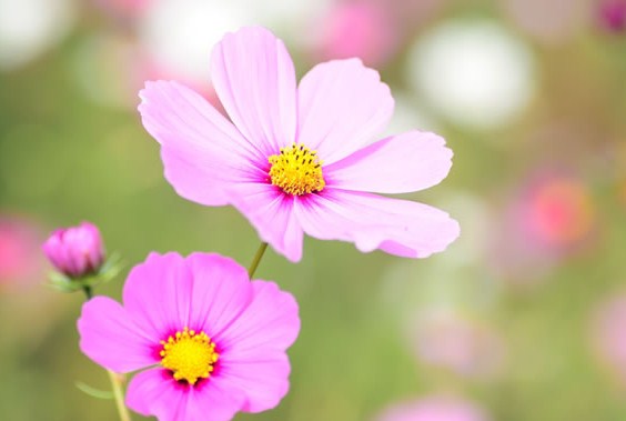 有个性的早安说说句句简短走心,早安语录励志点赞高的说说带图片