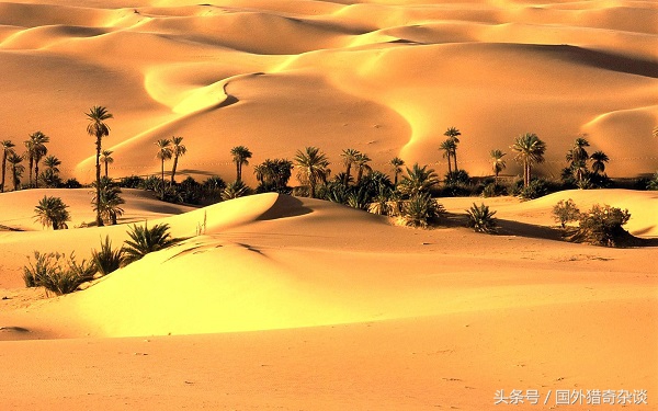 巴基斯坦事例,巴基斯坦的10个冷知识